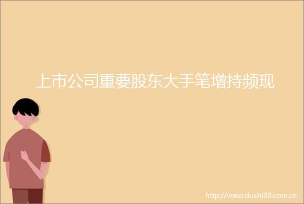 上市公司重要股东大手笔增持频现