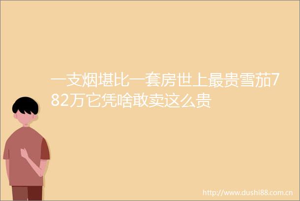 一支烟堪比一套房世上最贵雪茄782万它凭啥敢卖这么贵