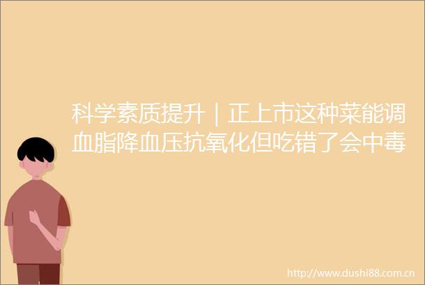 科学素质提升｜正上市这种菜能调血脂降血压抗氧化但吃错了会中毒