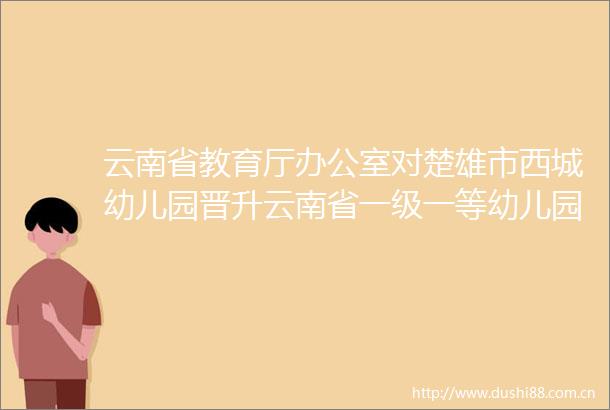 云南省教育厅办公室对楚雄市西城幼儿园晋升云南省一级一等幼儿园开展办园质量综合评价省级初勘