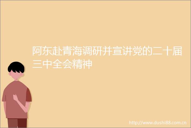 阿东赴青海调研并宣讲党的二十届三中全会精神