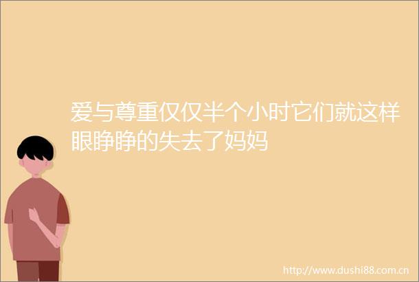 爱与尊重仅仅半个小时它们就这样眼睁睁的失去了妈妈