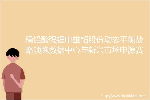 稳铅酸强锂电雄韬股份动态平衡战略领跑数据中心与新兴市场电源赛道