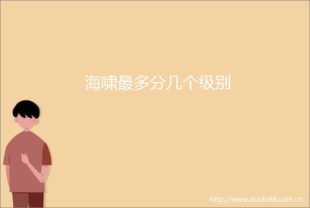 海啸最多分几个级别