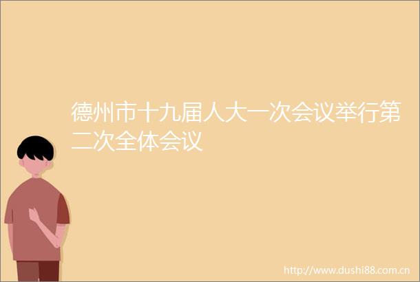 德州市十九届人大一次会议举行第二次全体会议