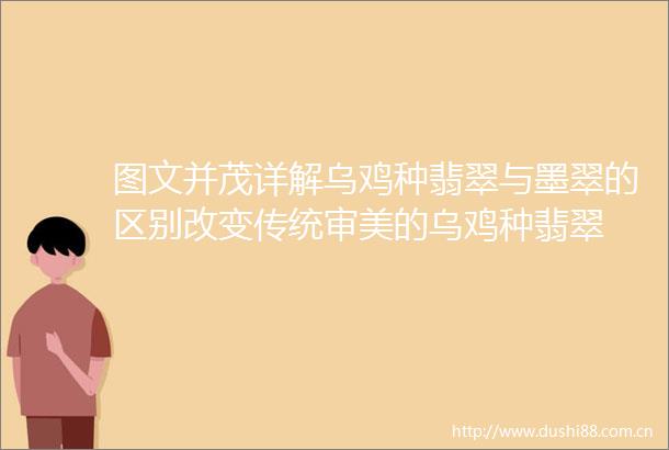 图文并茂详解乌鸡种翡翠与墨翠的区别改变传统审美的乌鸡种翡翠