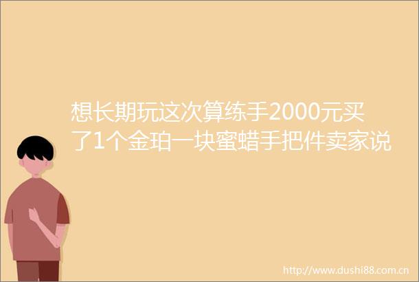想长期玩这次算练手2000元买了1个金珀一块蜜蜡手把件卖家说是