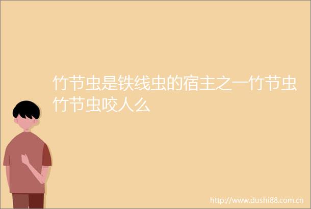 竹节虫是铁线虫的宿主之一竹节虫竹节虫咬人么