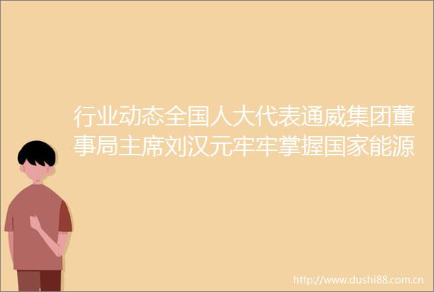 行业动态全国人大代表通威集团董事局刘汉元牢牢掌握能源供给主动权