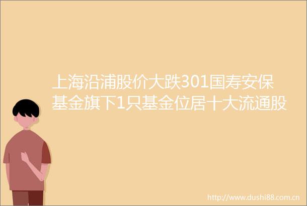 上海沿浦股价大跌301国寿安保基金旗下1只基金位居十大流通股东持有11793万股浮亏损失10024万元