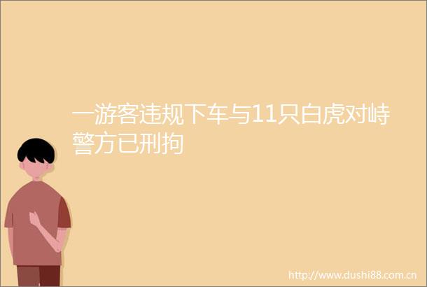 一游客下车与11只白虎对峙警方已刑拘