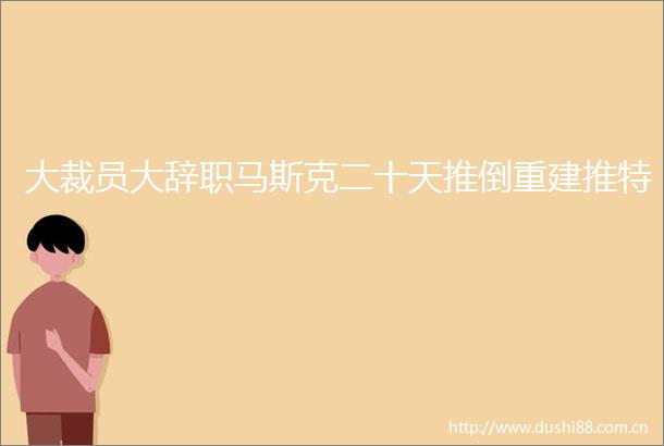 大裁员大辞职马斯克二十天推倒重建推特