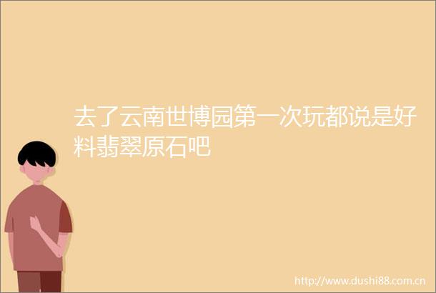去了云南世博园第一次玩都说是好料翡翠原石吧