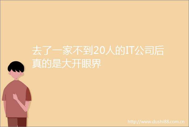 去了一家不到20人的IT公司后真的是大开眼界