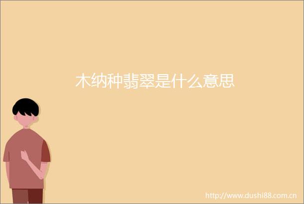 木纳种翡翠是什么意思