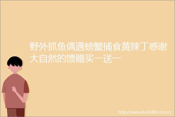野外抓鱼偶遇螃蟹捕食黄辣丁感谢大自然的馈赠买一送一