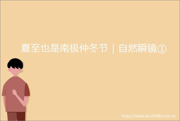 夏至也是南极仲冬节｜自然瞬镜①