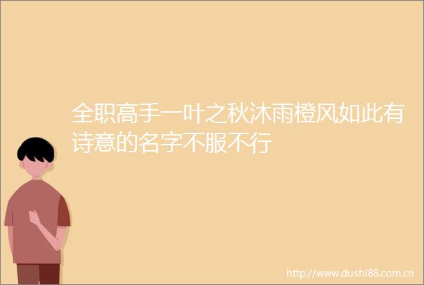 全职高手一叶之秋沐雨橙风如此有诗意的名字不服不行