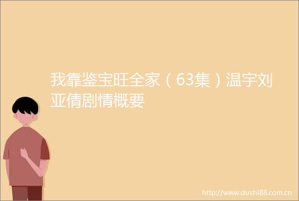 我靠鉴宝旺全家（63集）温宇刘亚倩剧情概要