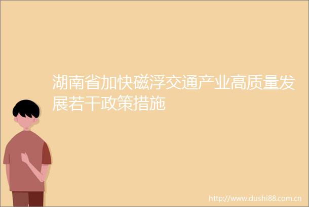 湖南省加快磁浮交通产业高质量发展若干政策措施