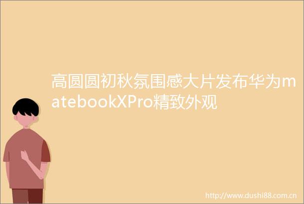 高圆圆初秋氛围感大片发布华为matebookXPro精致外观引人注目