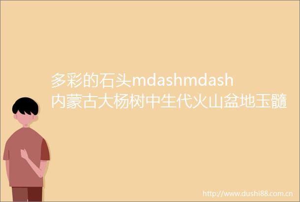 多彩的石头mdashmdash内蒙古大杨树中生代火山盆地玉髓观赏石