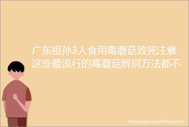 广东祖孙3人食用毒蘑菇致死注意这些最流行的毒蘑菇辨别方法都不靠谱