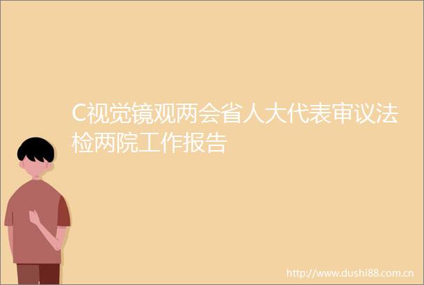 C视觉镜观两会省人大代表审议法检两院工作报告