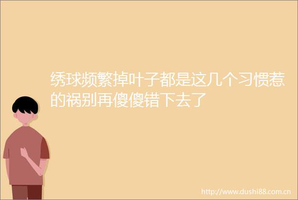 绣球频繁掉叶子都是这几个习惯惹的祸别再傻傻错下去了