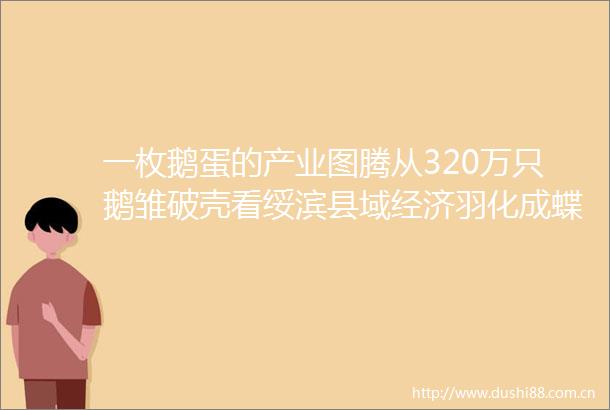 一枚鹅蛋的产业图腾从320万只鹅雏破壳看绥滨县域经济羽化成蝶