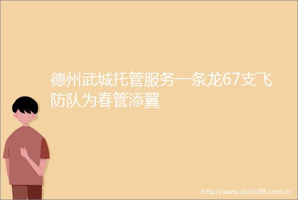 德州武城托管服务一条龙67支飞防队为春管添翼
