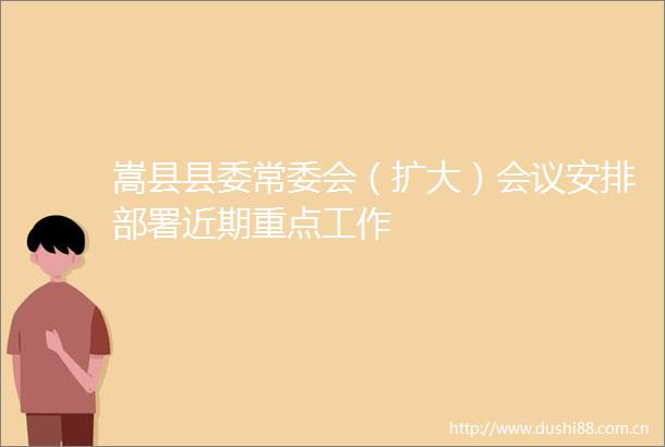 嵩县县委常委会（扩大）会议安排部署近期重点工作