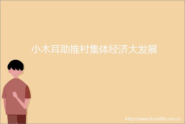 小木耳助推村集体经济大发展