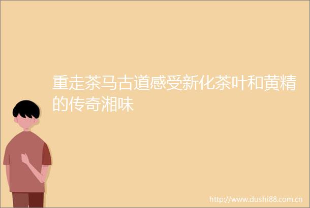 重走茶马古道感受新化茶叶和黄精的传奇湘味