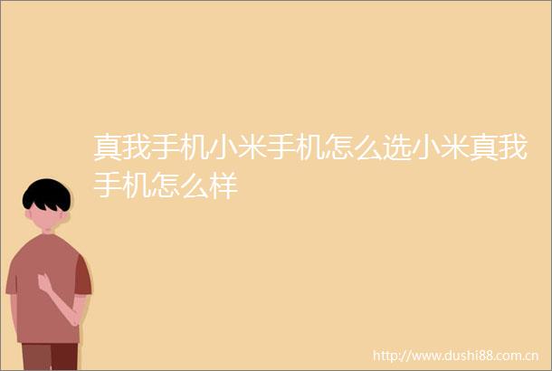 真我手机小米手机怎么选小米真我手机怎么样