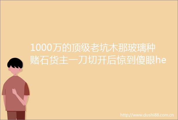 1000万的顶级老坑木那玻璃种赌石货主一刀切开后惊到傻眼helliphellip