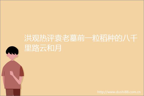 洪观热评袁老墓前一粒稻种的八千里路云和月
