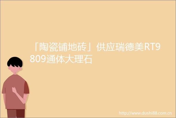 「陶瓷铺地砖」供应瑞德美RT9809通体大理石