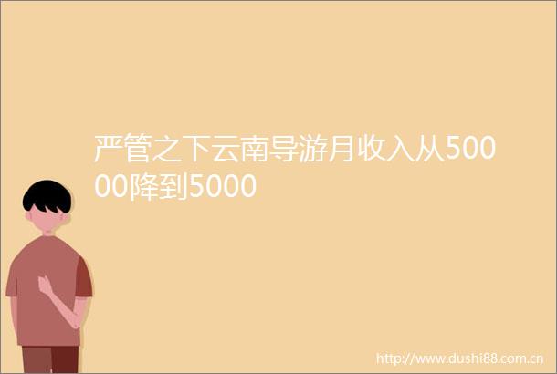 严管之下云南导游月收入从50000降到5000