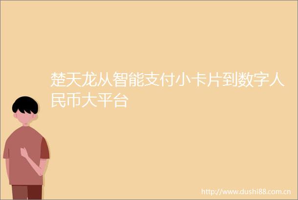 楚天龙从智能支付小卡片到数字币大平台