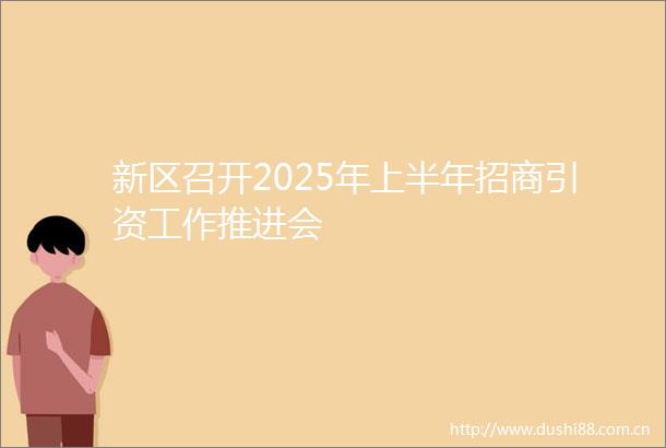 新区召开2025年上半年招商引资工作推进会