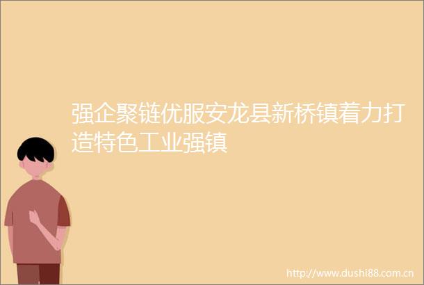 强企聚链优服安龙县新桥镇着力打造特色工业强镇