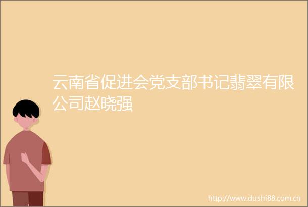 云南省促进会党支部书记翡翠有限公司赵晓强