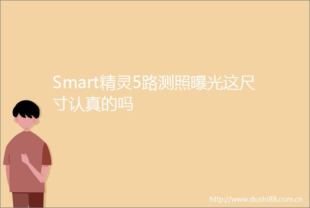 Smart精灵5路测照这尺寸认真的吗