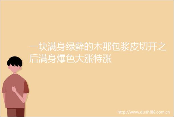 一块满身绿藓的木那包浆皮切开之后满身爆色大涨特涨