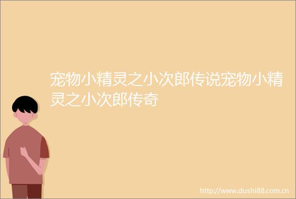 宠物小精灵之小次郎传说宠物小精灵之小次郎传奇