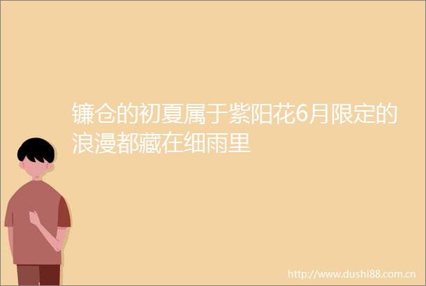 镰仓的初夏属于紫阳花6月限定的浪漫都藏在细雨里