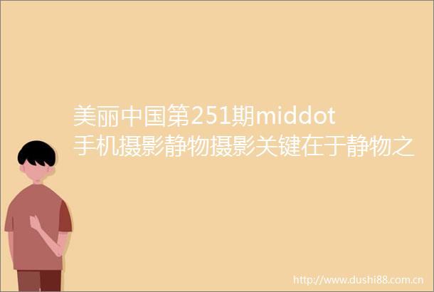 美丽第251期middot手机摄影静物摄影关键在于静物之间能不能产生美学反应