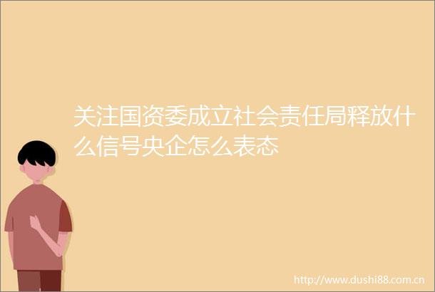 关注国资委成立社会责任局释放什么信号央企怎么表态