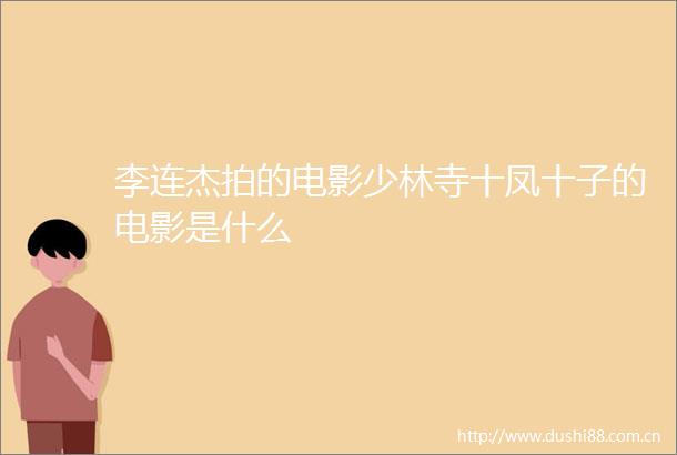 李连杰拍的电影少林寺十凤十子的电影是什么
